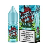 Twelve Monkeys: Ice Age - Nic Salt - Kanzi Iced [10MG]